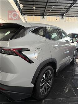 جیتۆر داشينگ